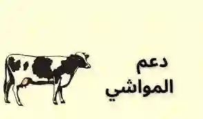 البحث في أسماء المؤهلين في دعم مربي المواشي 