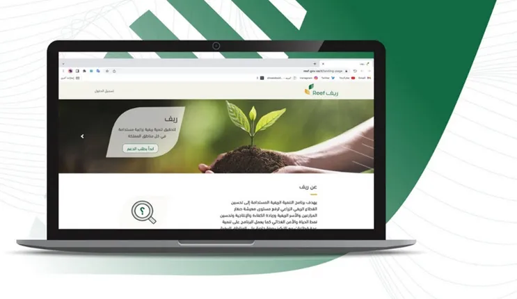 هل قرض العمل الحر يؤثر على دعم ريف؟ الاجابة بالتفصيل 