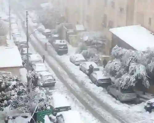 العقيل يعلن عن بشرى سارة لسكان الرياض وتبوك وأبها والطائف حول موجات البرد والصقيع 