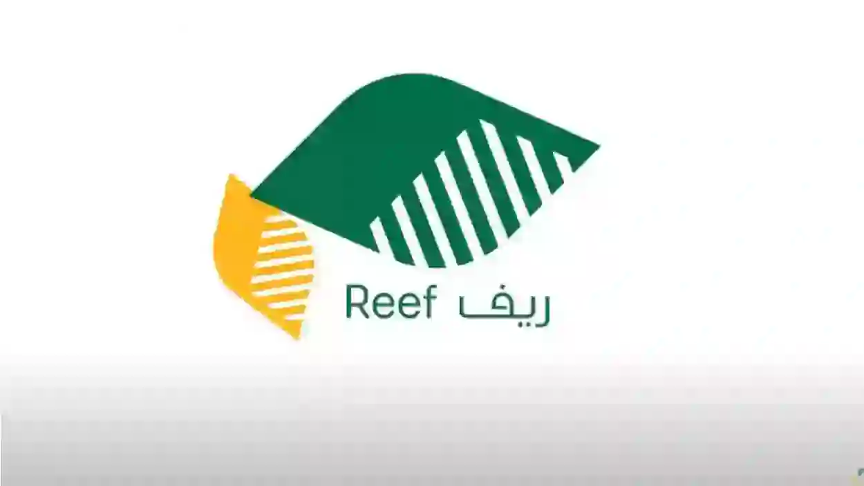 خطوات تسجيل ربات البيوت في دعم ريف للأسر المنتجة وكم يعطوهم؟ 
