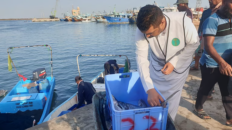 كورنيش جدة.. حملات مكثفة لتوقيف كل من يقع في هذه المخالفة من المواطنين والمقيمين 