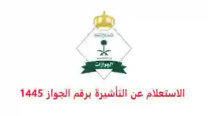 الداخلية تحدد متطلبات الاستعلام عن تأشيرة برقم الجواز 1445