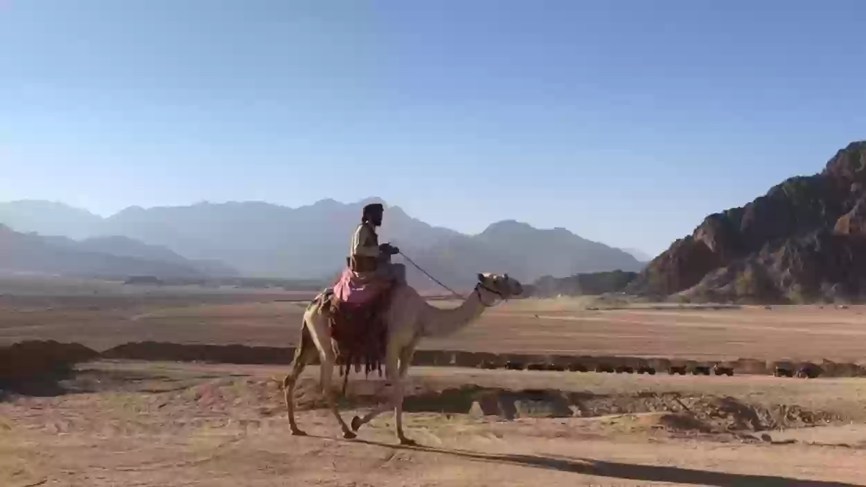 أصل قبيلة الهويريني في السعودية وش ترجع؟ 