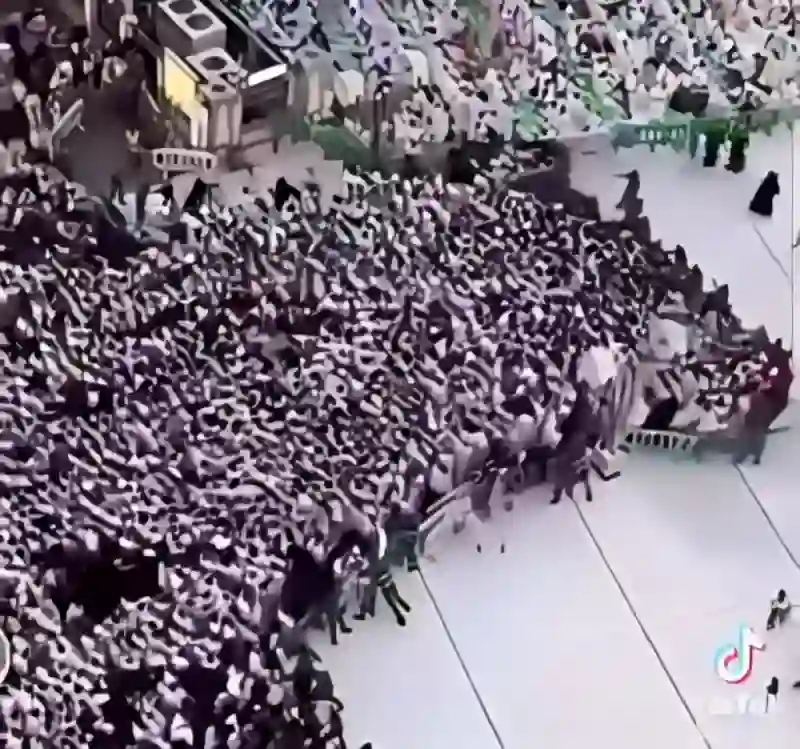 فيديو جديد للطريقة المذهلة لإدارة وتوزيع الحشود في المسجد الحرام 