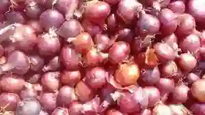 متى ينزل سعر البصل في الرياض؟ 