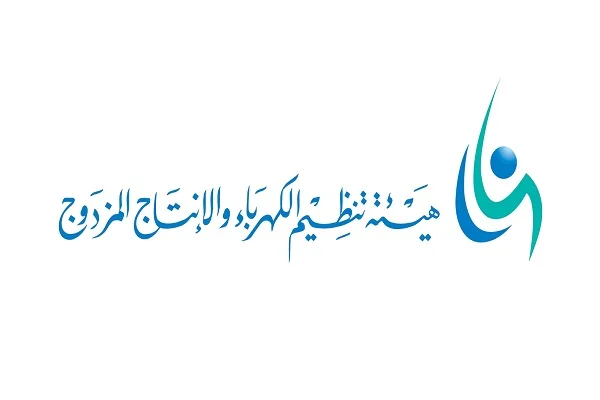 الكهرباء السعودية تعلن تفاصيل نظام الكهرباء الجديد ومراحل تطبيقه على الاستهلاك المنزلي 