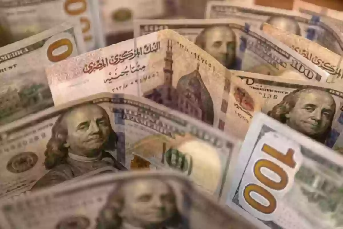 عاجل: الدولار في مصر يتجاوز حاجز الخمسين جنيه لكل دولار لأول مرة 