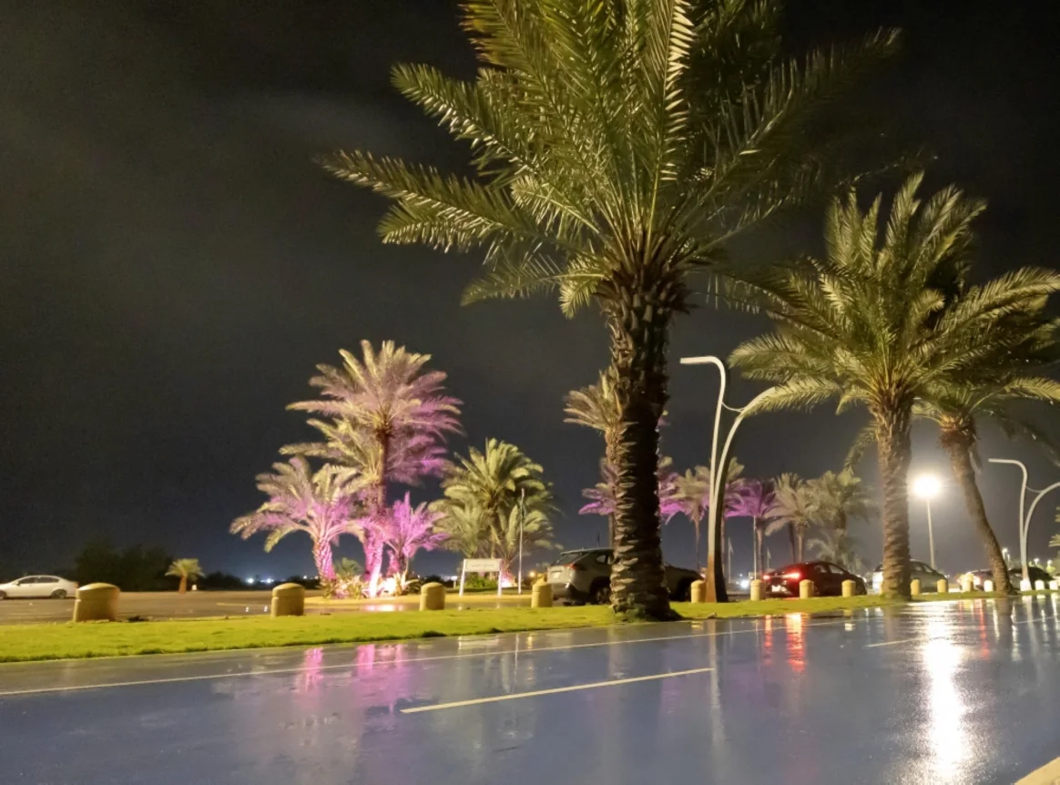 الأرصاد: على سكان هذه المناطق البقاء في بيوتهم حتى نهاية الأسبوع بسبب أمطار غزيرة وعواصف في السعودية 