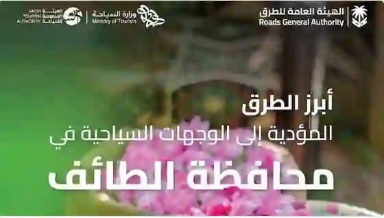 ارتفاع غير مسبوق في عدد السياح الى الطايف في صيف هذا العام بعد اكتمال مراحل مشروع غير شكل المدينة 