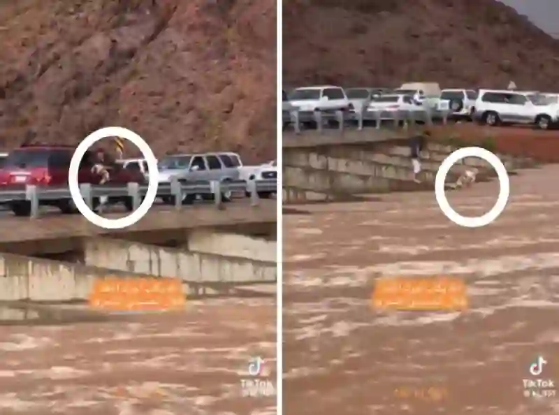 فيديو شاب سعودي ينقذ كلب حاصرته السيول في حائل كاد يضحي بحياته 
