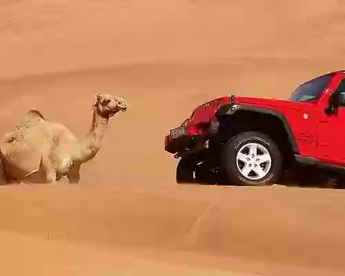 أفضل رحلات سفاري في الرياض طريقة الحجز والأسعار 1445 