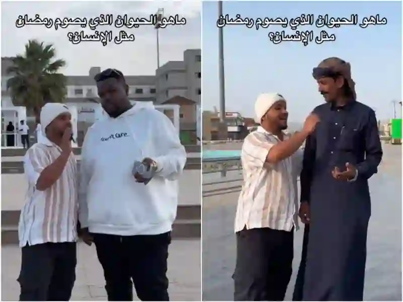 ما هو الحيوان اللي يصوم رمضان مثل الانسان؟ فيديو اجابات من شوارع الرياض بتصدمك 