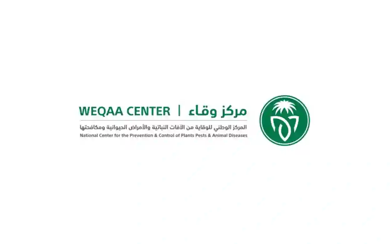 بعد انتشارها في الرياض وجدة ومكة والمدينة تحذيرات عاجلة من قتل هذه النوع من الحشرات وحقيقة فرض غرامات على من يقتلها 