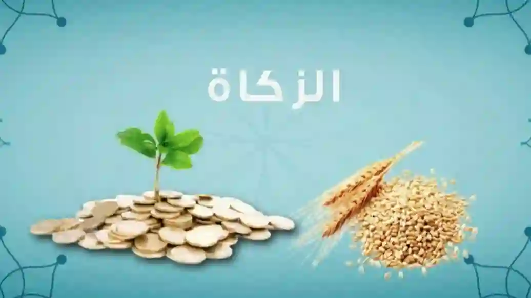 هل المطلقة من الذين يجوز اخراج زكاة الفطر لهم؟ كبار العلماء تجيب 