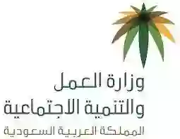 الجوازات السعودية تعلن عن مميزات جديدة وتسهيلات للمقيمين في السعودية بداية من 2024 تعرف عليها 