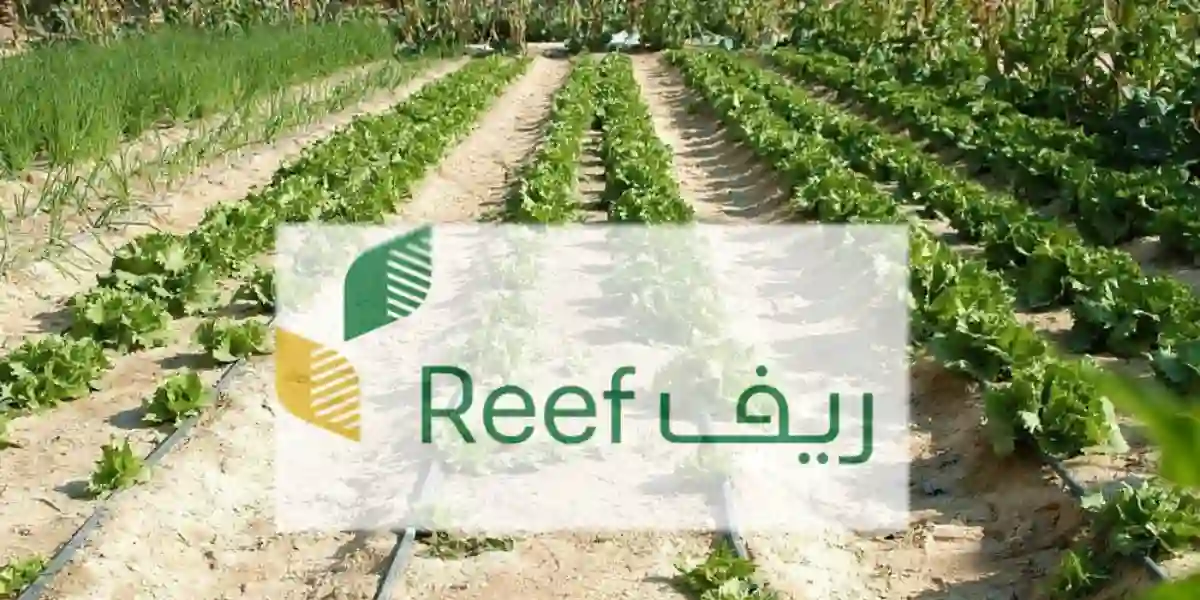  شروط وخطوات التقديم على برنامج دعم ريف السعودي لربات البيوت reef.gov.sa