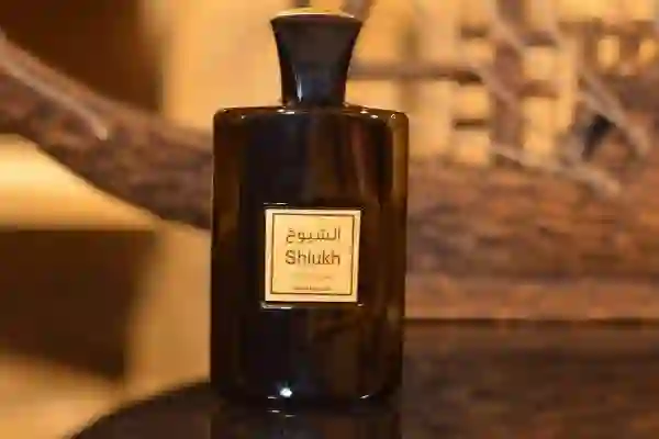 أحسن العصور الرجالية عند درعة للعطور للسنة الجديدة مع الأسعار