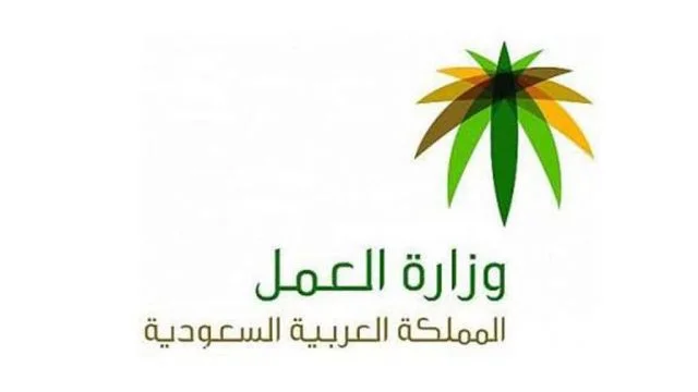  طريقة الاستعلام عن نطاق مؤسسة برقم الهوية أو الإقامة في السعودية
