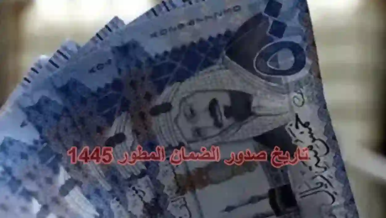 الموارد البشرية تعلن بدء تطبيق هذه العقوبات على من يتحايل على اهلية الضمان وهل فيها سجن؟
