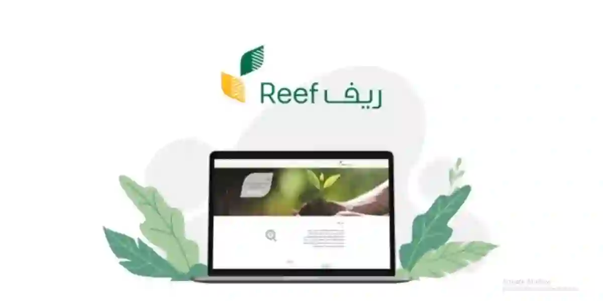 أسباب جديدة لوقف دعم ريف يجب الحذر منها 1445