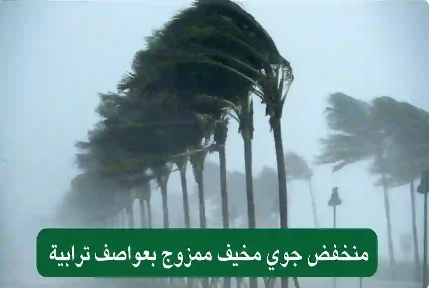هل يتحول إلى إعصار؟ الأرصاد تحذر من منخفض جوي يضرب خلال ساعات هذه المناطق في السعودية 