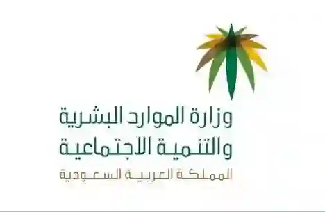 السعودية: الشروط والرسوم والمتطلبات لاستقدام العمالة المنزلية من أندونيسيا بعد إصدار اللائحة الجديدة من الموارد البشرية