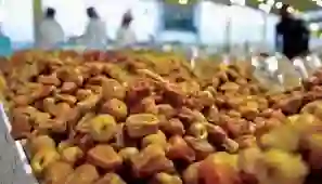 الغذاء والدواء السعودية تحذر من تناول التمور هذه الأيام بسبب انتشار البكتريا والعفن وتنصح باجراء هام قبل تناول أي نوع من التمور 