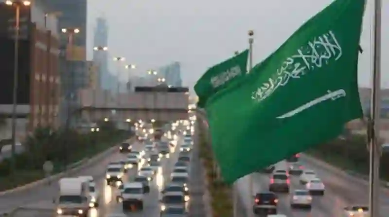 الاستعلام السريع عن نطاق أي مؤسسة في السعودية برقم الهوية واستخراج كل البيانات عنها في دقيقة واحدة 