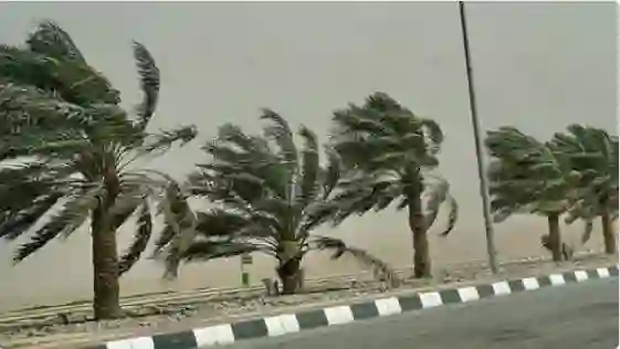 الوطني للأرصاد يحذر من موجات رياح قوية وغبار كثيف حتى نهاية الأسبوع على هذه المناطق في السعودية 